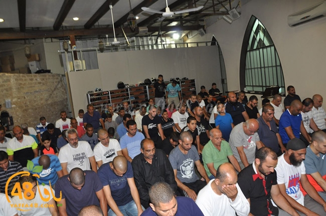 qader yaffa msajed (6).JPG